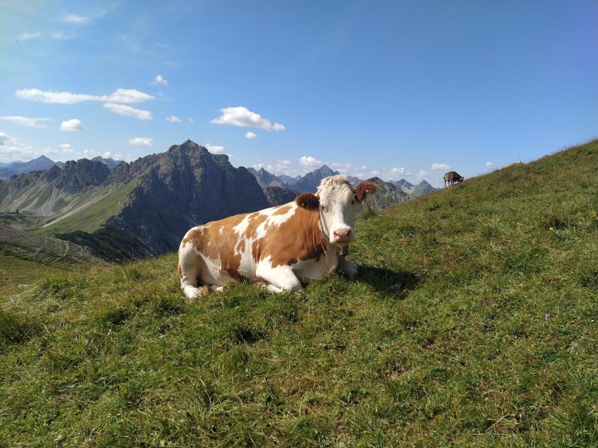 Ferienwohnung Zum Bartelt Hohenschwangau Extérieur photo