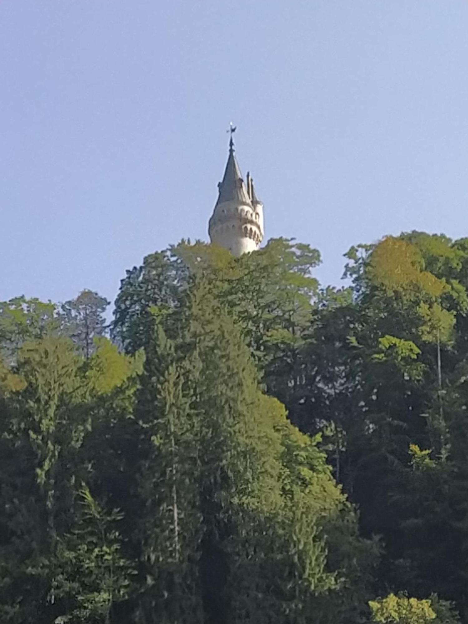 Ferienwohnung Zum Bartelt Hohenschwangau Extérieur photo